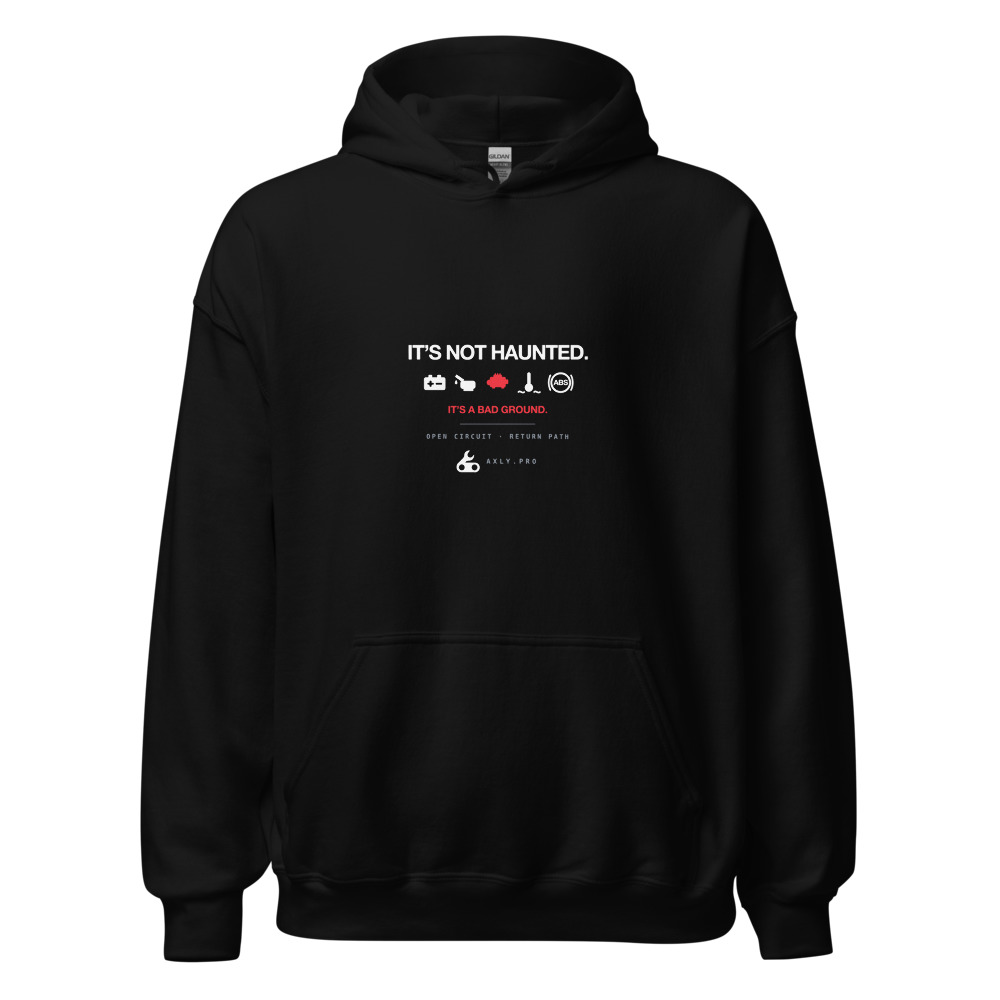 It's Not Haunted Hoodie